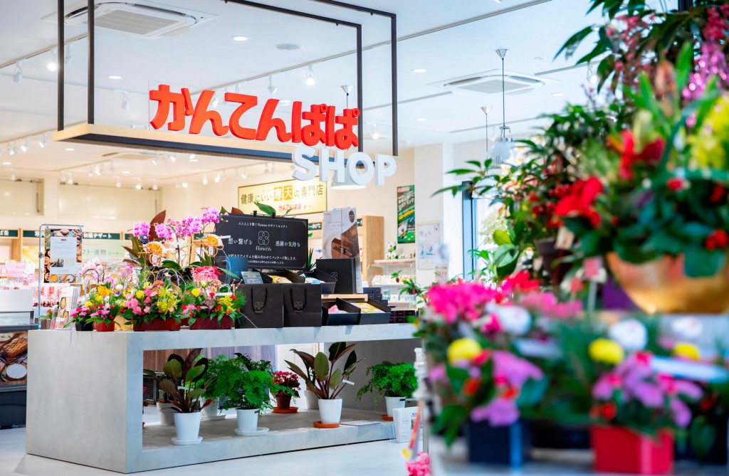 かんてんぱぱショップ 松本店 / Nagano