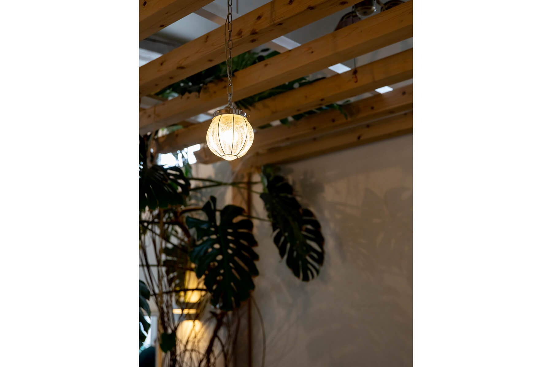LaCosTa／Ishikawa