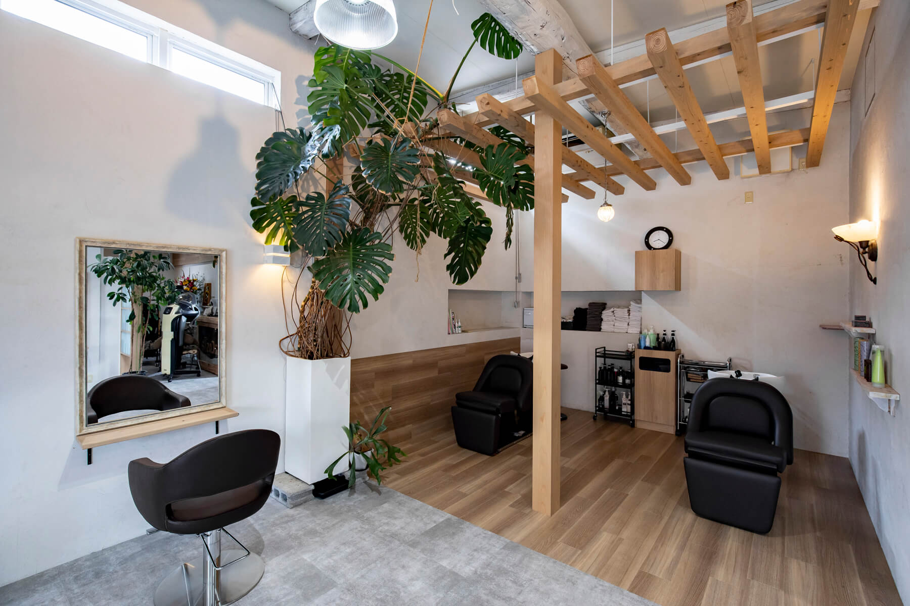 LaCosTa／Ishikawa