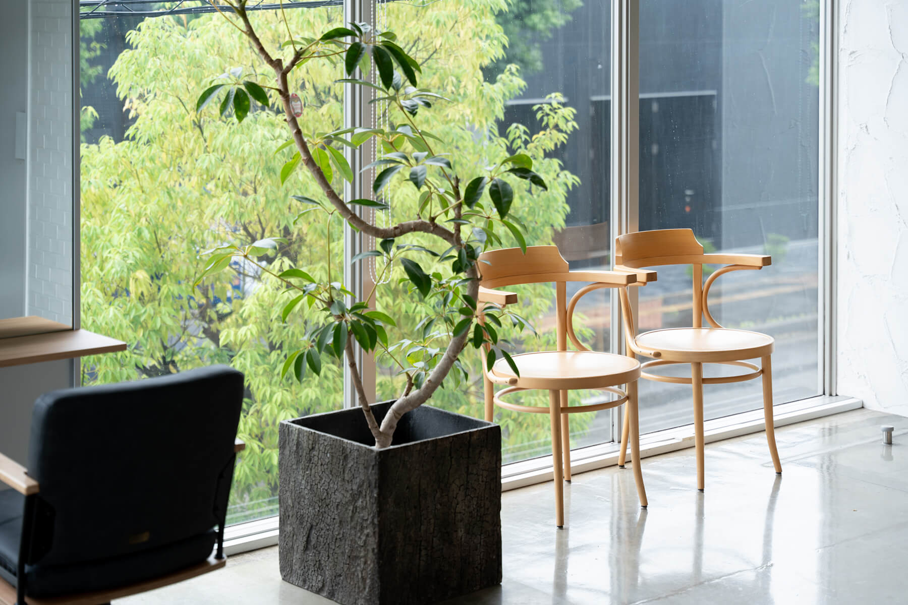 hito.nowa / Ishikawa