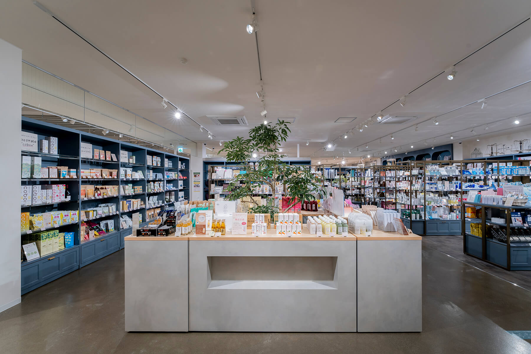 アミング野々市店／Ishikawa